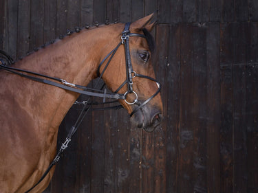Riding World Leather Gogue Reins| Online For Equine