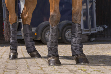 Riding World Low Shipping Boots| Online For Equine