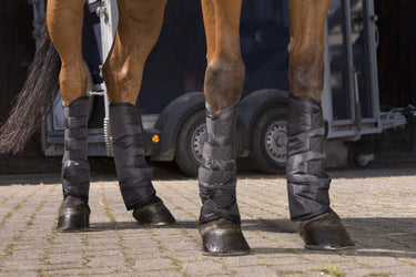 Riding World Low Shipping Boots| Online For Equine