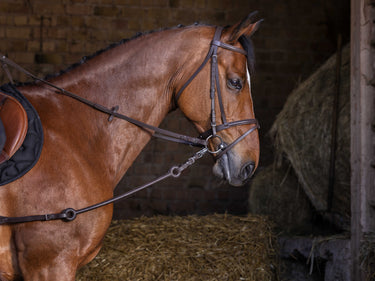 Riding World Pirelli Side Reins| Online For Equine