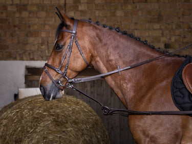 Riding World Rubber Side Reins| Online For Equine
