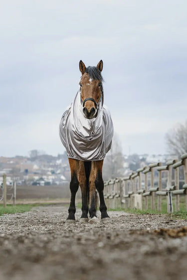 Buy Riding World Sweet Itch Sheet | Online for Equine