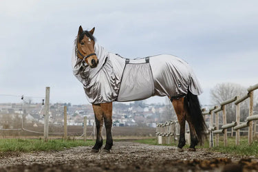 Buy Riding World Sweet Itch Sheet | Online for Equine
