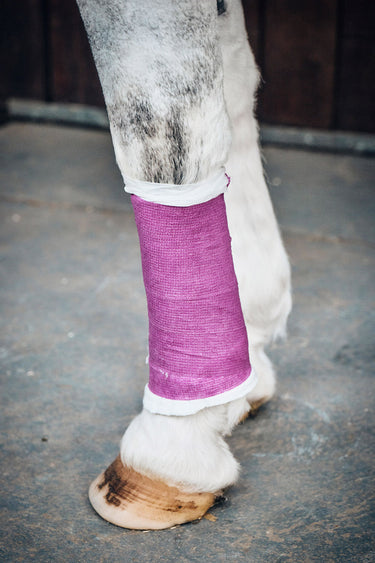 Robinsons Healthcare Equiwrap Bandage| Online For Equine