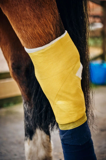 Robinsons Healthcare Equiwrap Bandage| Online For Equine