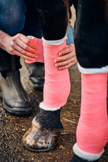 Robinsons Healthcare Equiwrap Neon Bandage| Online For Equine