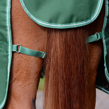 Saxon Defiant 1200D Combo Neck 200G| Online For Equine