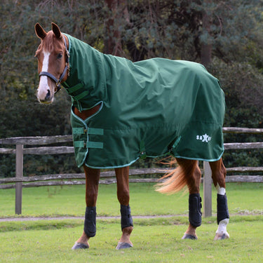 Saxon Defiant 1200D Combo Neck 200G| Online For Equine