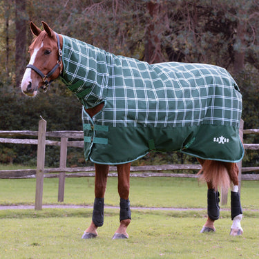 Saxon Defiant 1200D Combo Neck 300G| Online For Equine