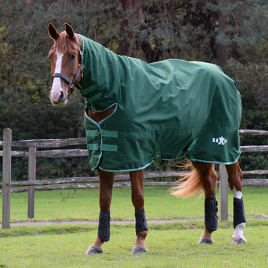 Saxon Defiant 1200D Combo Neck 300G| Online For Equine