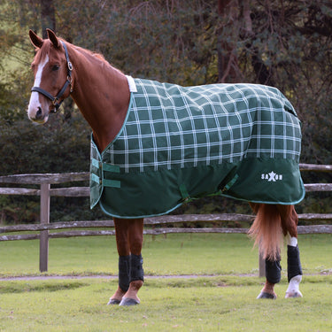 Saxon Defiant 1200D Standard Neck 200G| Online For Equine