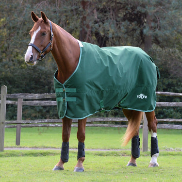 Saxon Defiant 1200D Standard Neck 200G| Online For Equine