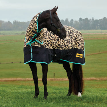Saxon Defiant 600D Combo Neck 200G| Online For Equine
