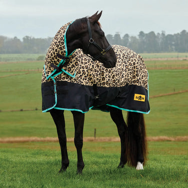 Saxon Defiant 600D Combo Neck 200G| Online For Equine