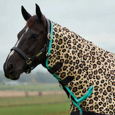 Saxon Defiant 600D Combo Neck 200G| Online For Equine