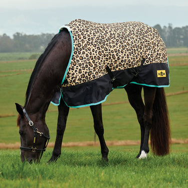 Saxon Defiant 600D Standard Neck 200G| Online For Equine