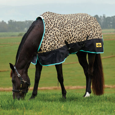 Saxon Defiant 600D Standard Neck 200G| Online For Equine