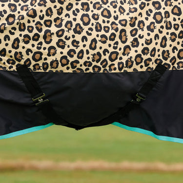 Saxon Defiant 600D Standard Neck 200G| Online For Equine