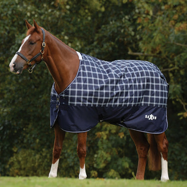 Saxon Defiant 600D Standard Neck 200G| Online For Equine