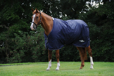 Buy Saxon Defiant 600D Standard Neck Lite Turnout Rug| Online for Equine