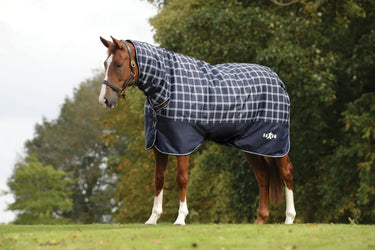 Buy Saxon Defiant Navy Plaid 200g Combo Neck Mediumweight Turnout Rug| Online for Equine