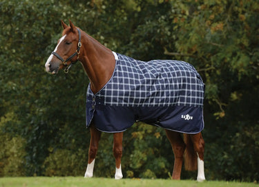 Buy Saxon Defiant Navy Plaid 200g Standard Neck Mediumweight Turnout Rug| Online for Equine