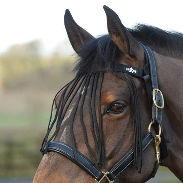 Buy Saxon Fly Fringe| Online for Equine