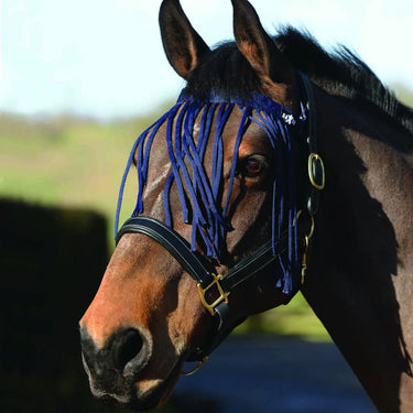 Buy Saxon Fly Fringe| Online for Equine