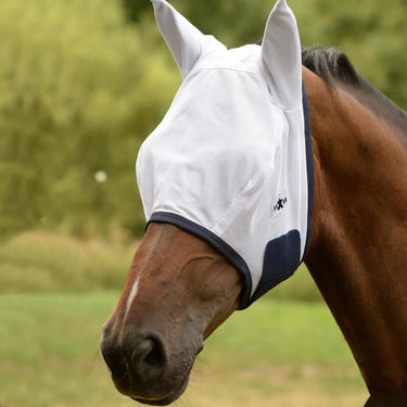 Buy Saxon Mesh Mask| Online for Equine