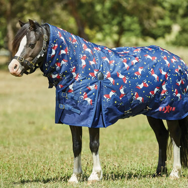 Buy Saxon Pony 180g Medium Combo Neck Turnout Rug - 3'0"| Online for Equine
