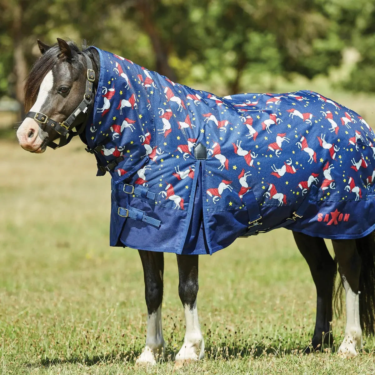 Buy Saxon Pony 180g Medium Combo Neck Turnout Rug | Online for Equine ...