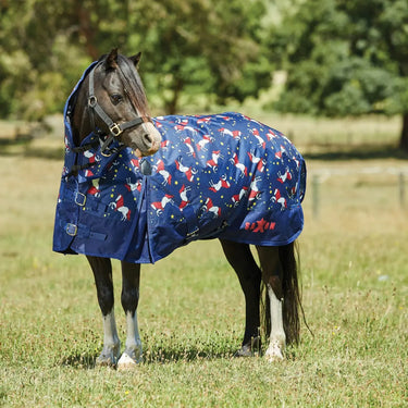 Buy Saxon Pony 180g Medium Combo Neck Turnout Rug - 3'0"| Online for Equine