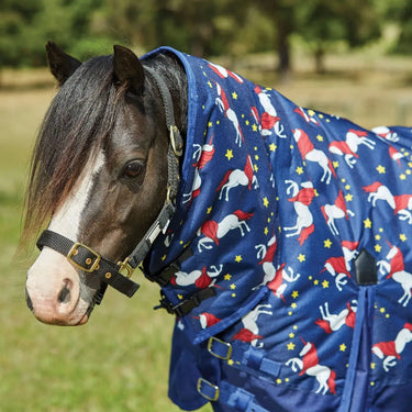 Buy Saxon Pony 180g Medium Combo Neck Turnout Rug - 3'0"| Online for Equine