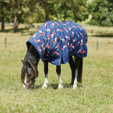 Buy Saxon Pony 180g Medium Combo Neck Turnout Rug - 3'0"| Online for Equine