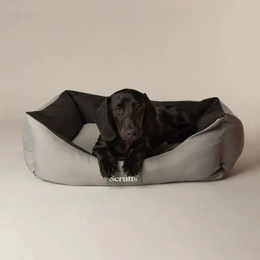 Scruffs Expedition Box Bed| Online For Equine