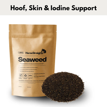 Seaweed| Online For Equine