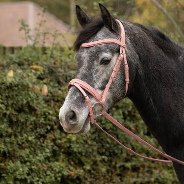 Serena Bridle by Little Rider| Online For Equine