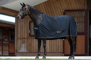Bucas Shamrock Power Rug