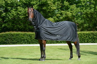 Bucas Shamrock Power Multi Functional Combo Neck Rug
