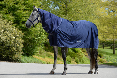 Bucas Shamrock Power Multi Functional Combo Neck Rug