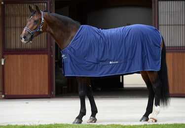 Bucas Shamrock Power Rug