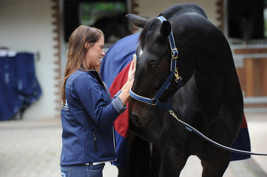 Bucas Shamrock Power Rug
