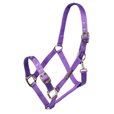 Shires ARMA Adjustable Headcollar| Online For Equine