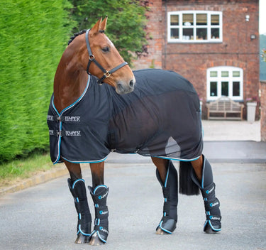 Shires ARMA Air Defence Travel Boots Navy| Online For Equine