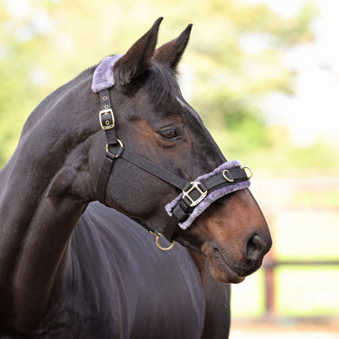 Shires ARMA Black Fleece Lined Lunge Cavesson| Online For Equine