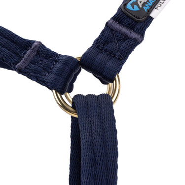 Shires ARMA Cushion Web Halter & Lead Navy| Online For Equine