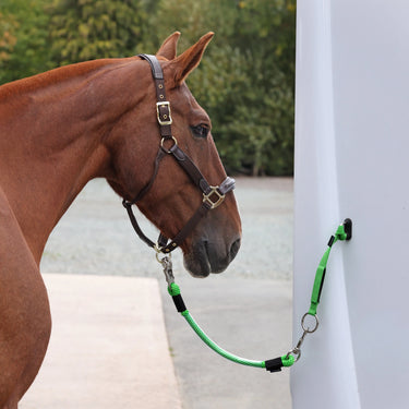 Shires ARMA Heavy Duty Trailer Tie Green| Online For Equine