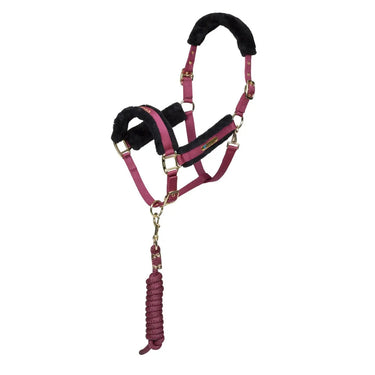 Shires ARMA Logo Headcollar & Lead Rope| Online For Equine