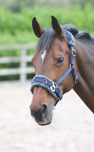 Shires ARMA Navy Fleece Lined Lunge Cavesson| Online For Equine