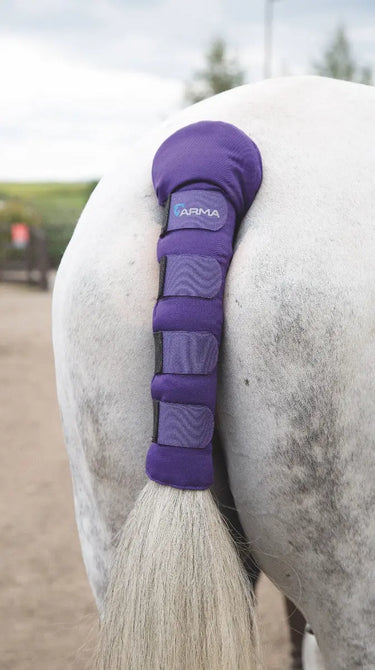 Buy Shires ARMA Padded Tail Guard| Online for Equine